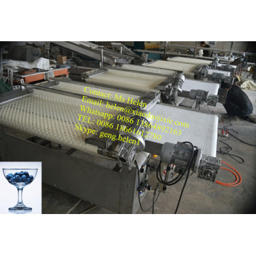 Automatische Blaubeersortiermaschine / Strawberry Sorting Weighting Packing Line